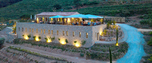 INTERVIEW DE JULIE MAIRE