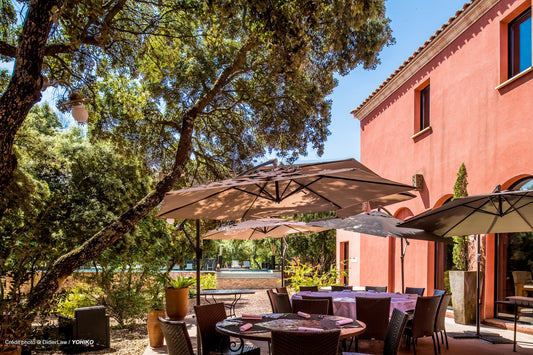 Interview de Marion et Elodie du Disini pour TERRAKÉ